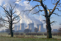 drax (photo number: 691)