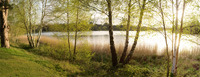 virginia water -trl (photo number: 695)