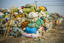 Rubbish for recycling - detail (photo number: 798)