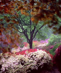 colours (photo number: 854)