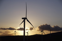wind farm (photo number: 871)