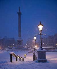 trafalgar square (photo number: 908)