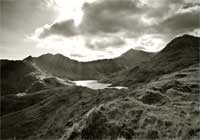 nice spot for wales (photo number: 929)