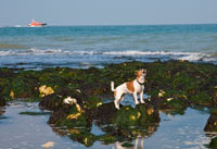 marooned (photo number: 933)